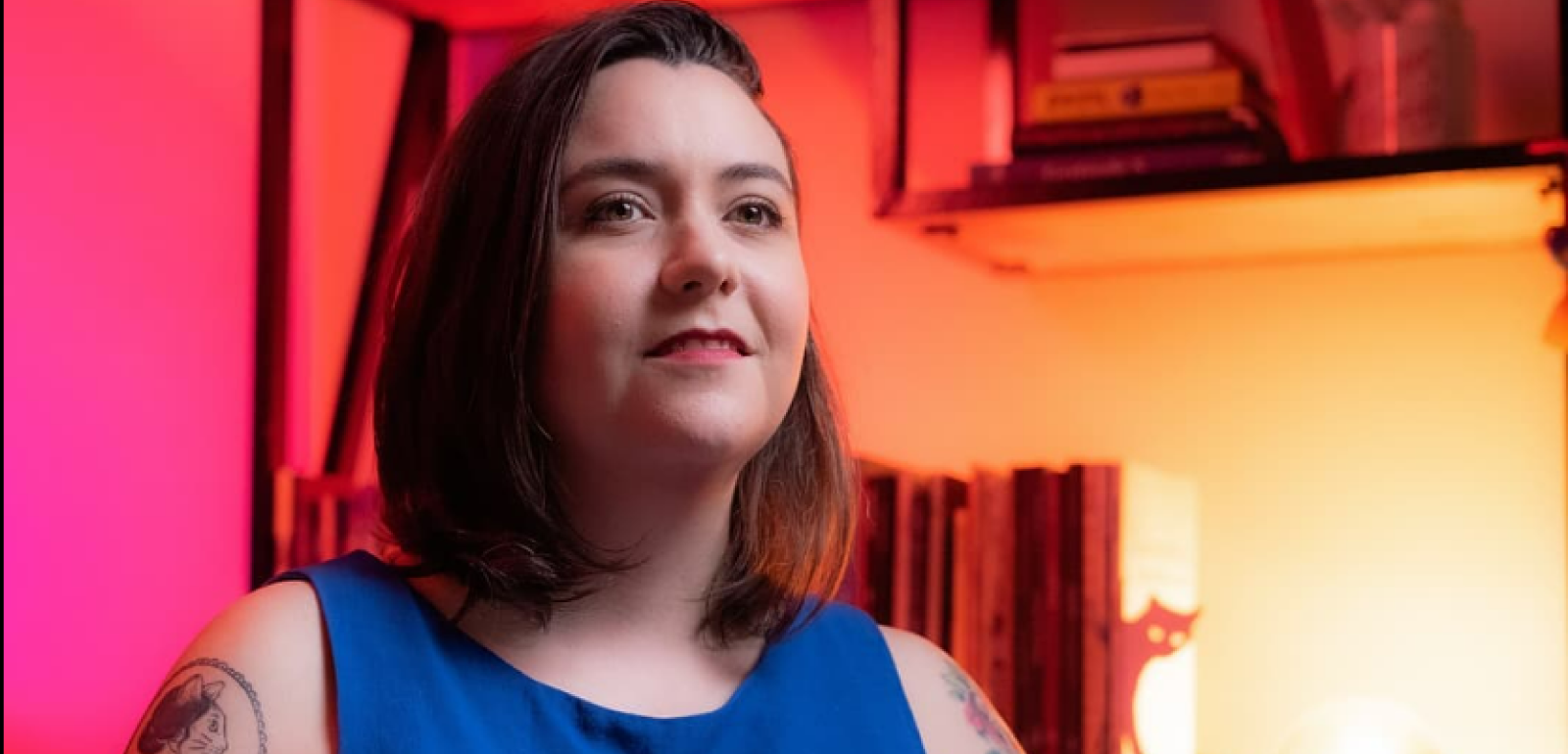 Um breve panorama da literatura capixaba, com a Lívia